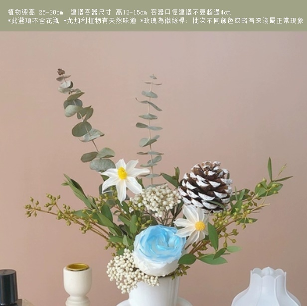 新款真花插花擺件（不含花瓶 北極光尤加利）