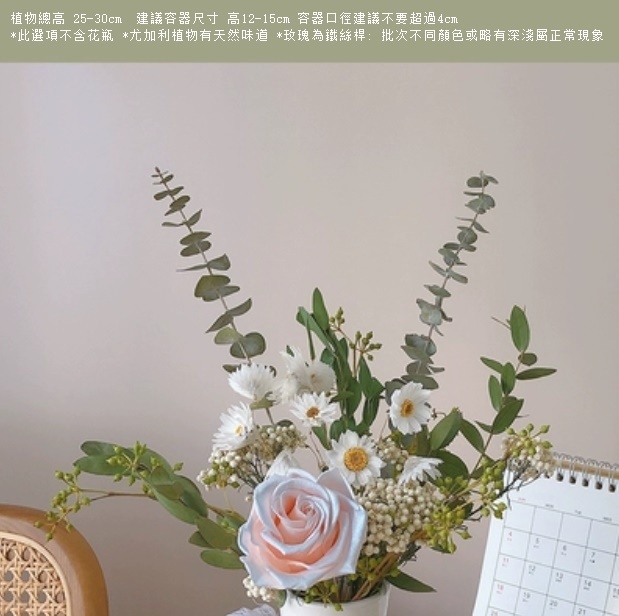 新款真花插花擺件（不含花瓶 伊莎貝拉尤加利）