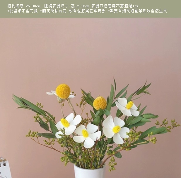 新款真花插花擺件（不含花瓶 綠茵小葉白蘭）
