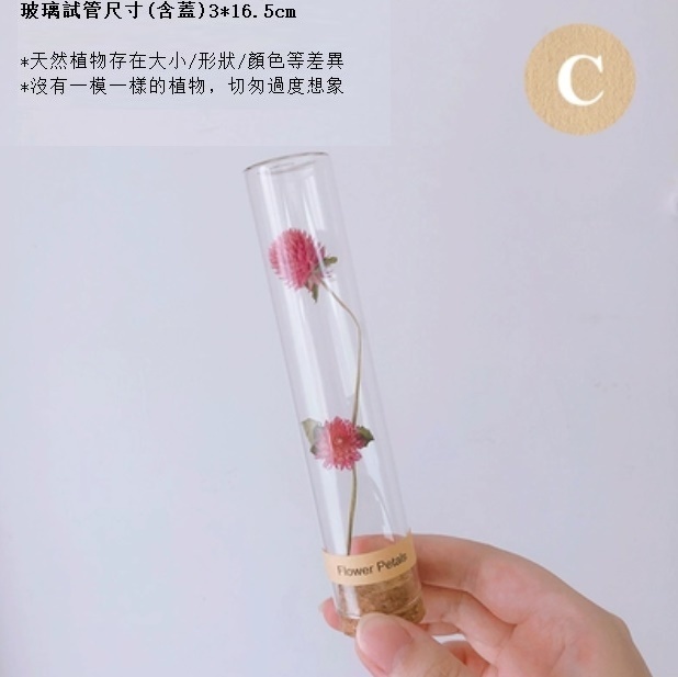 新款幹花玻璃試管（粉色千日紅）