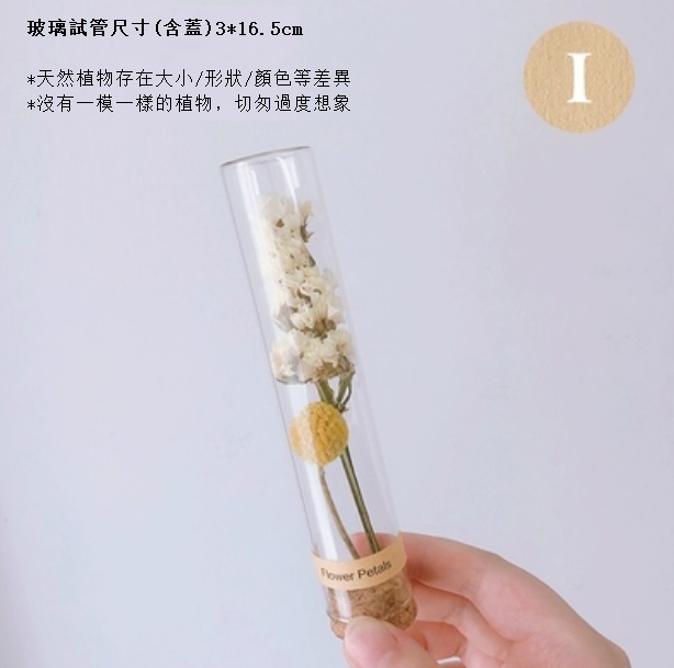新款幹花玻璃試管（白勿黃金球）
