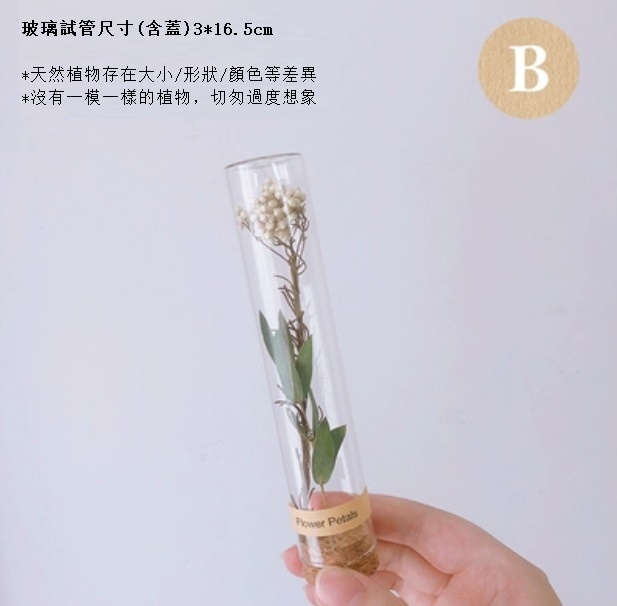 新款幹花玻璃試管（白米花細葉）
