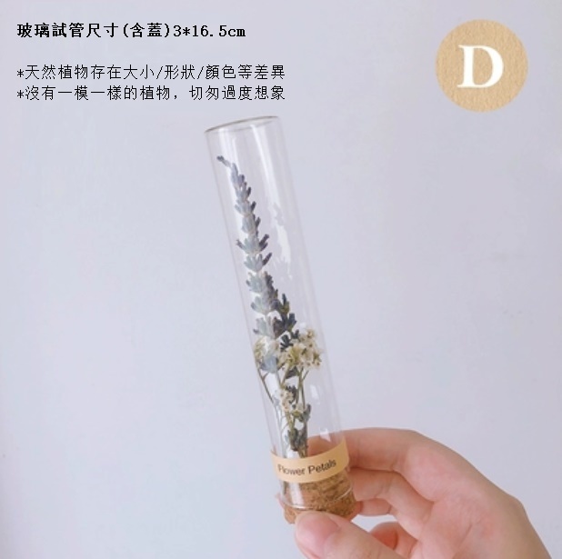 新款幹花玻璃試管（薰衣草白水晶）