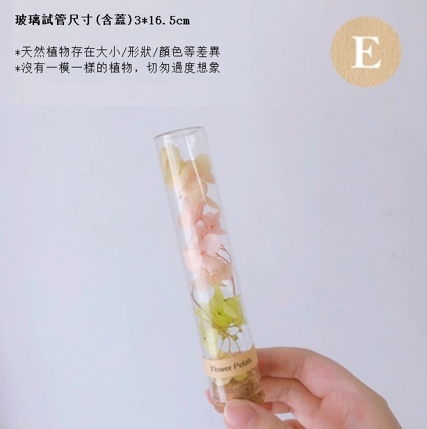 新款幹花玻璃試管（粉綠繡球）