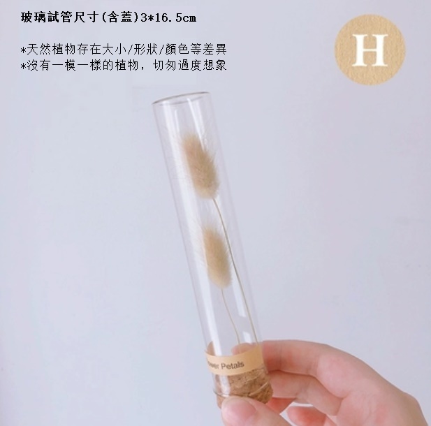 新款幹花玻璃試管（原色兔尾草）
