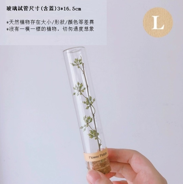 新款幹花玻璃試管（小米果）