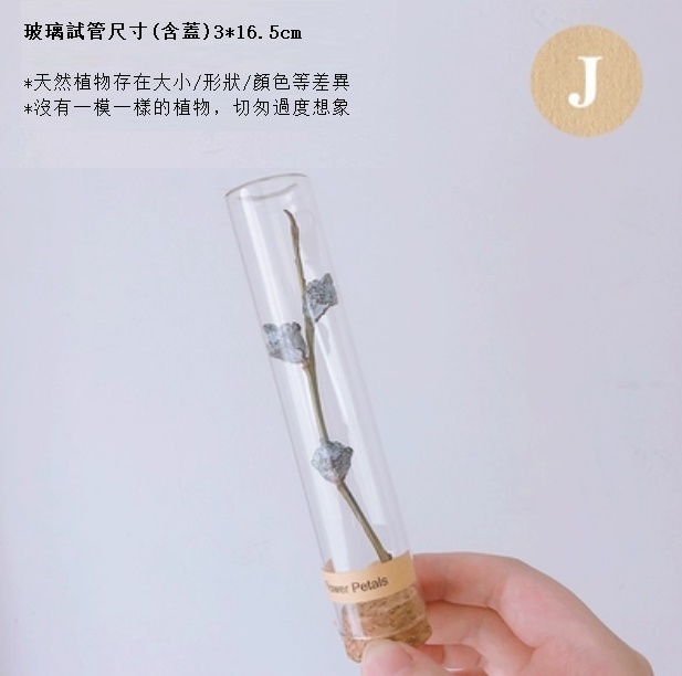 新款幹花玻璃試管（尤加利果）