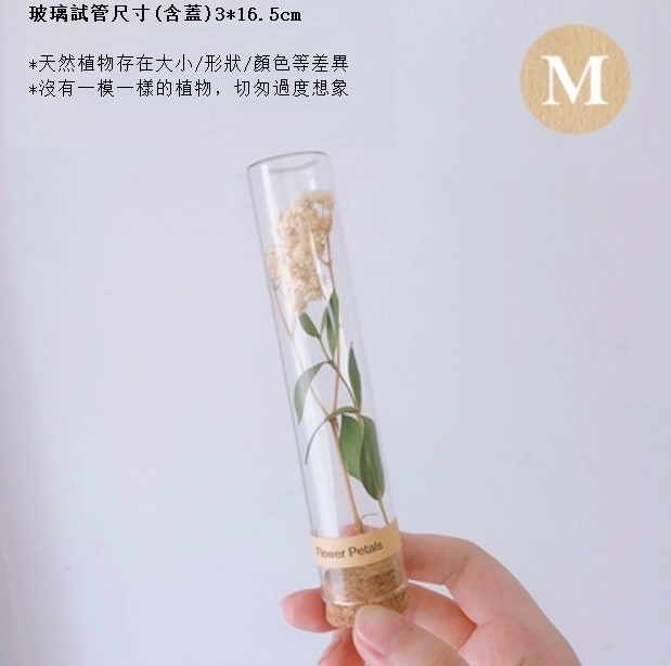新款幹花玻璃試管（白滿天星細葉）