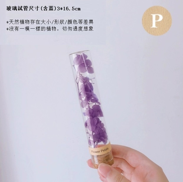 新款幹花玻璃試管（紫繡球）