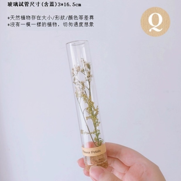 新款幹花玻璃試管（黃鶯白水晶）