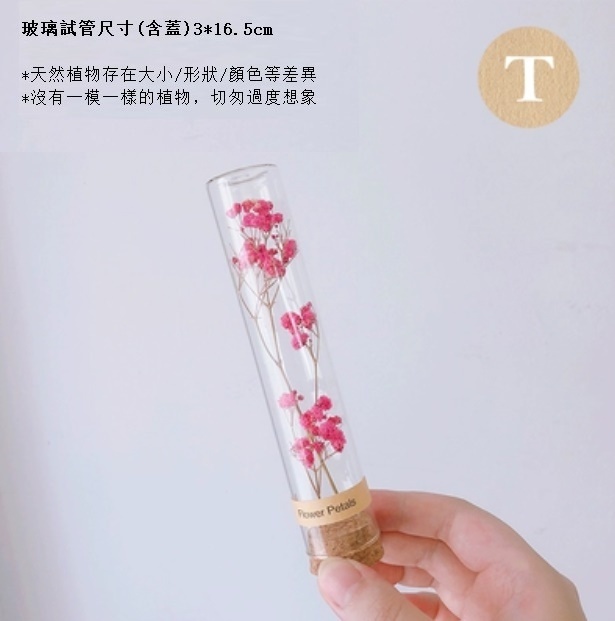新款幹花玻璃試管（粉色滿天星）