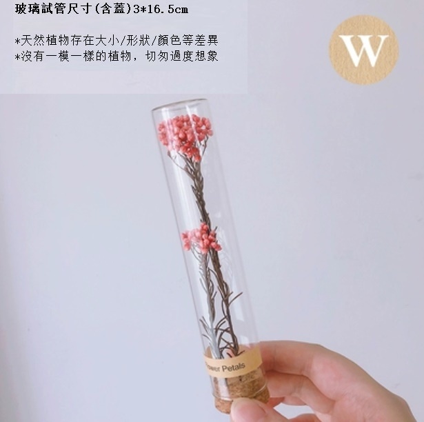 新款幹花玻璃試管（粉色米花）