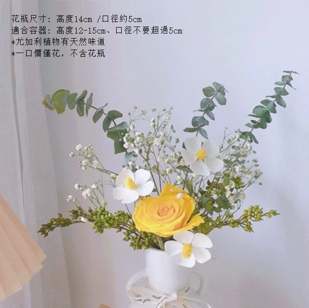 新款滿天星幹花花束（不含花瓶 金色年華）