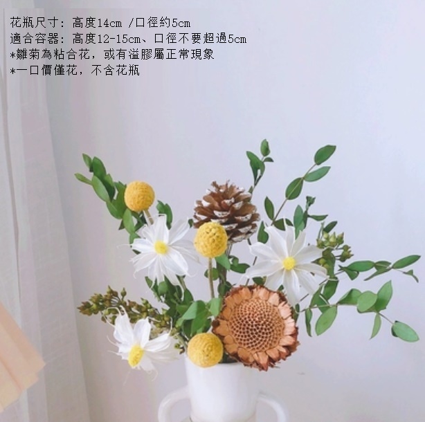 新款滿天星幹花花束（不含花瓶 太陽朵細葉）