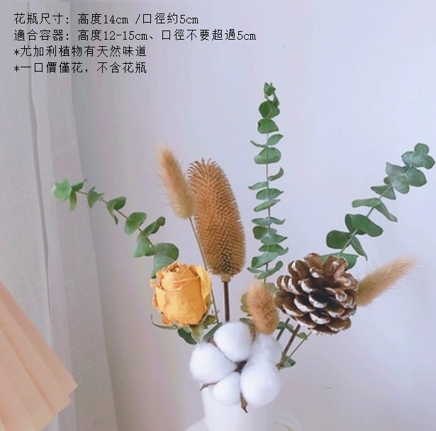 新款滿天星幹花花束（不含花瓶 拉毛果尤加利）