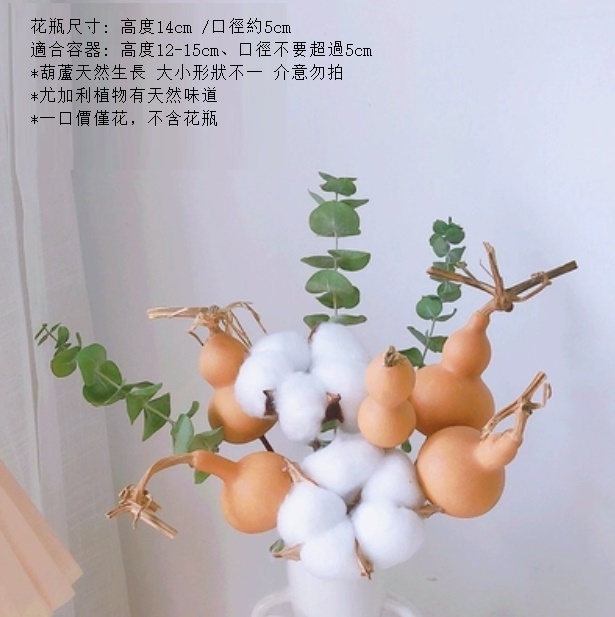 新款滿天星幹花花束（不含花瓶 福祿綿綿）