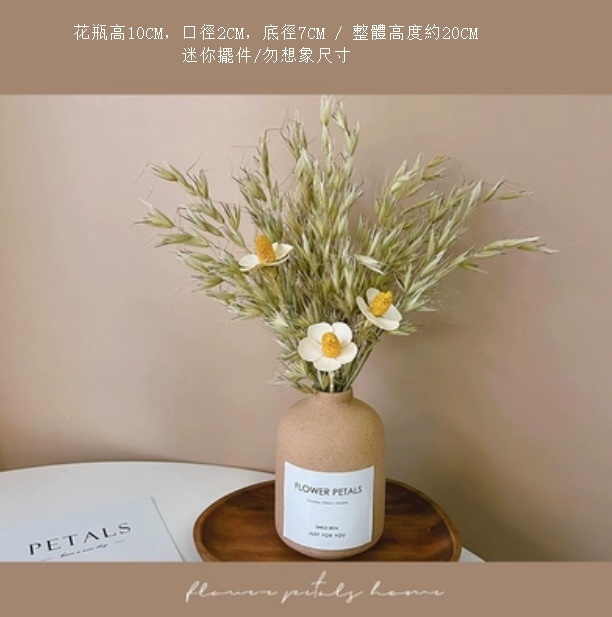 新款沙漠系列迷你幹花花束（卡其色mini花瓶 麥穗蘭）