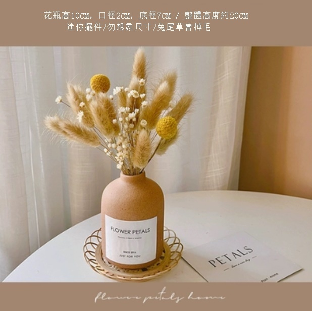 新款沙漠系列迷你幹花花束（卡其色mini花瓶 兔尾花）