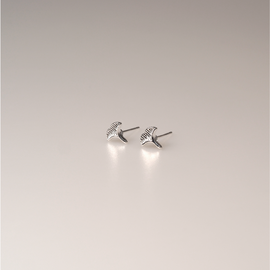 【AOI】不知道怎麼選嗎-S925純銀養耳棒