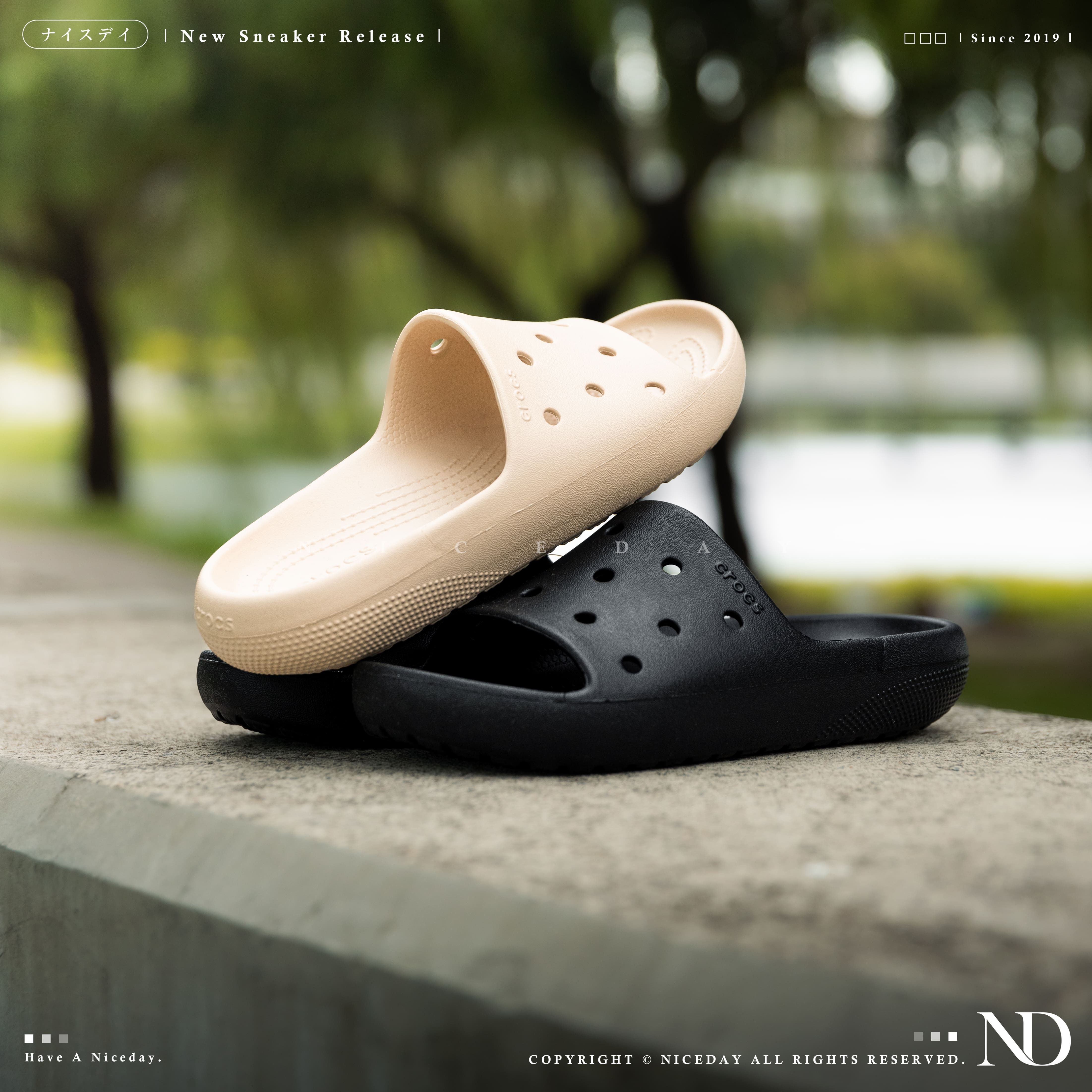 NICEDAY 現貨 Crocs Classic 洞洞鞋 經典隨心涼拖 拖鞋 淡粉色 黑色