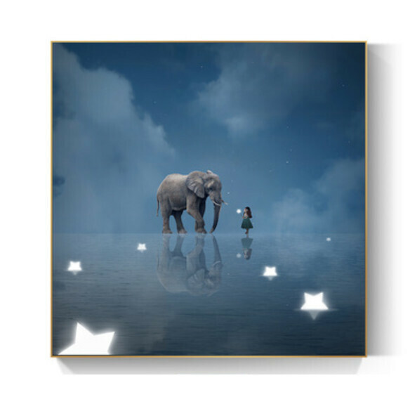 Popular decoration hanging picture [F type-(bright crystal film-black border)] [40*40CM] [25mm thick plate]