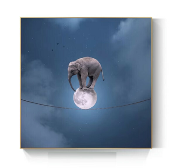 New style decoration hanging picture [Type B-(bright crystal film-black edge)] [80*80CM] [25mm thick plate]