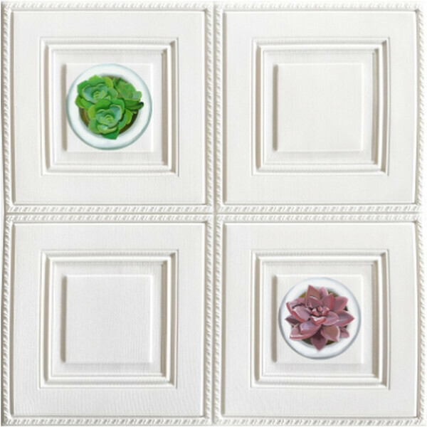 熱賣UV打印軟包防撞自粘墻紙貼壁紙【多肉（12）】【70*70CM】
