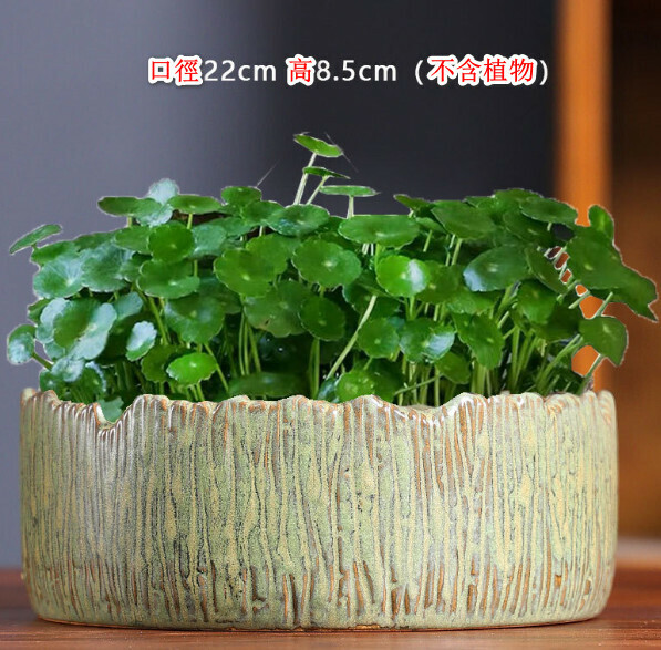 Popular non-porous hydroponic ceramic flowerpot [Hydroponics-Large K-glazed green] [Plants not included]
