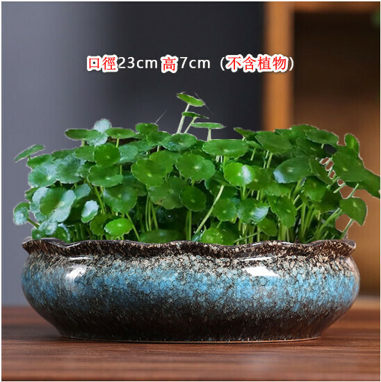 Popular non-porous hydroponic ceramic flowerpot [Hydroponics-Extra Large Platter Wave Mouth] [Plants Not Included]