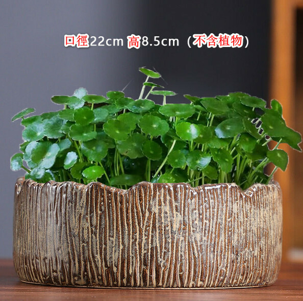 Popular non-porous hydroponic ceramic flowerpot [Hydroponics-Large K Glaze Brown] [Plants not included]