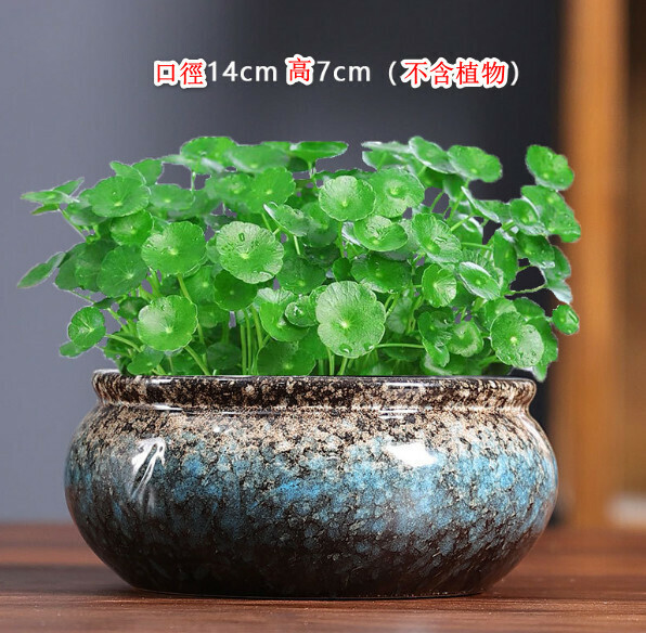 Popular non-porous hydroponic ceramic flowerpot [Hydroponics-Plate 2] [Plants not included]