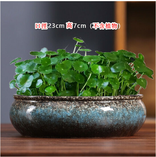 Popular non-porous hydroponic ceramic flower pots [Hydroponics - Extra large platter with closing] [Plants not included]