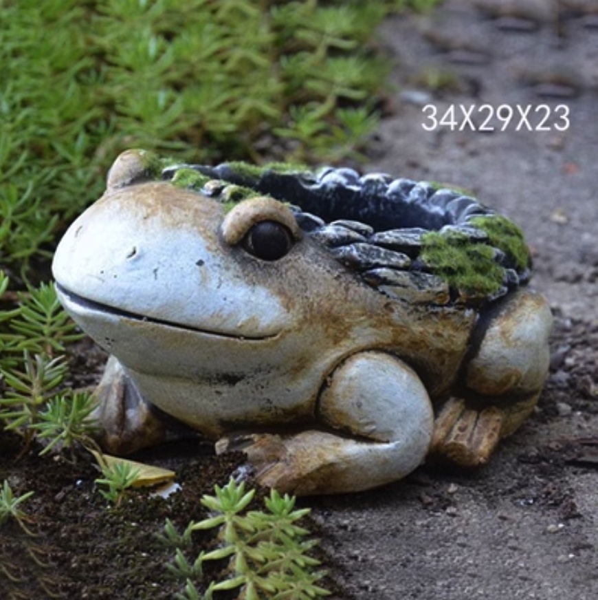 Popular animal cement succulent potted plant (dark khaki color - frog)