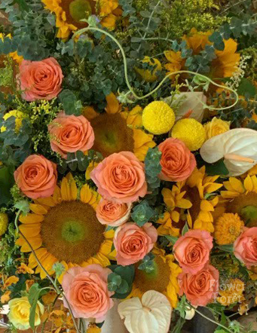 向日飛揚 | 高架花籃