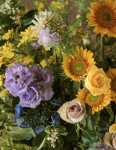 高貴花林 | 高架花籃