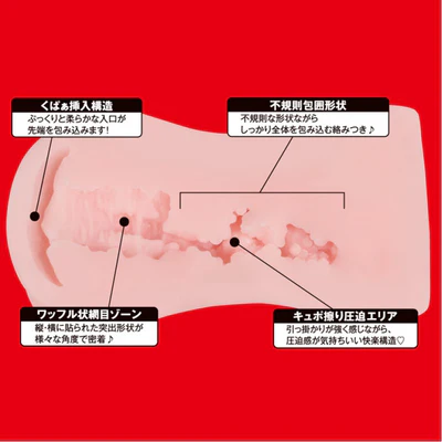 EXE - Japanese Real Hole 淫 安齋拉拉 女優名器