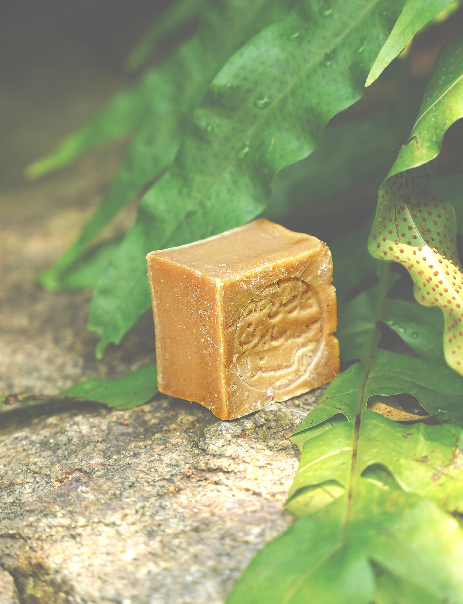 10% 阿勒坡古皂｜輕度問題皮膚 (濕疹/體癬/皮疹/敏感/風癩)