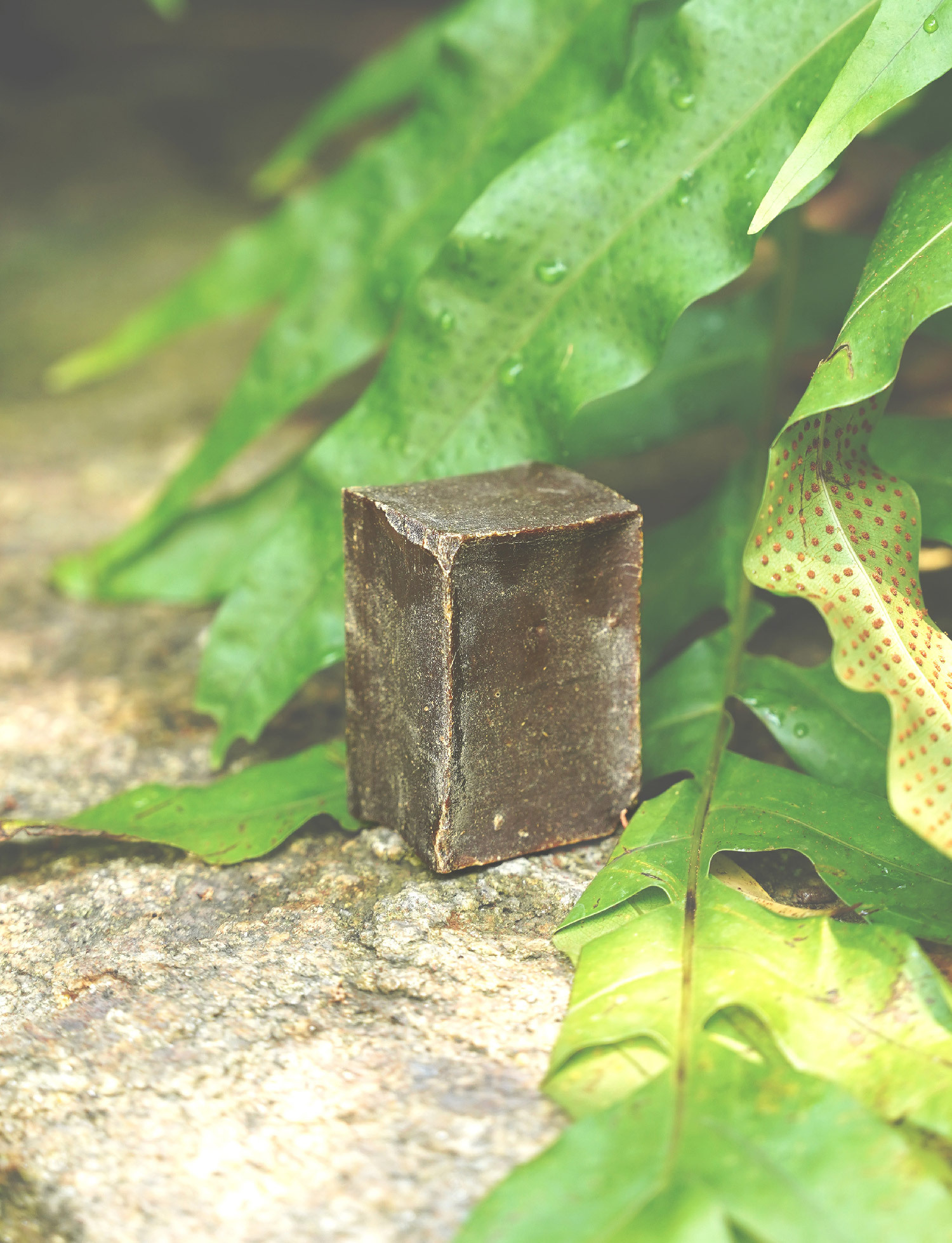 黎巴嫩雪松皂｜中度問題皮膚 (濕疹/體癬/皮疹/敏感/風癩)