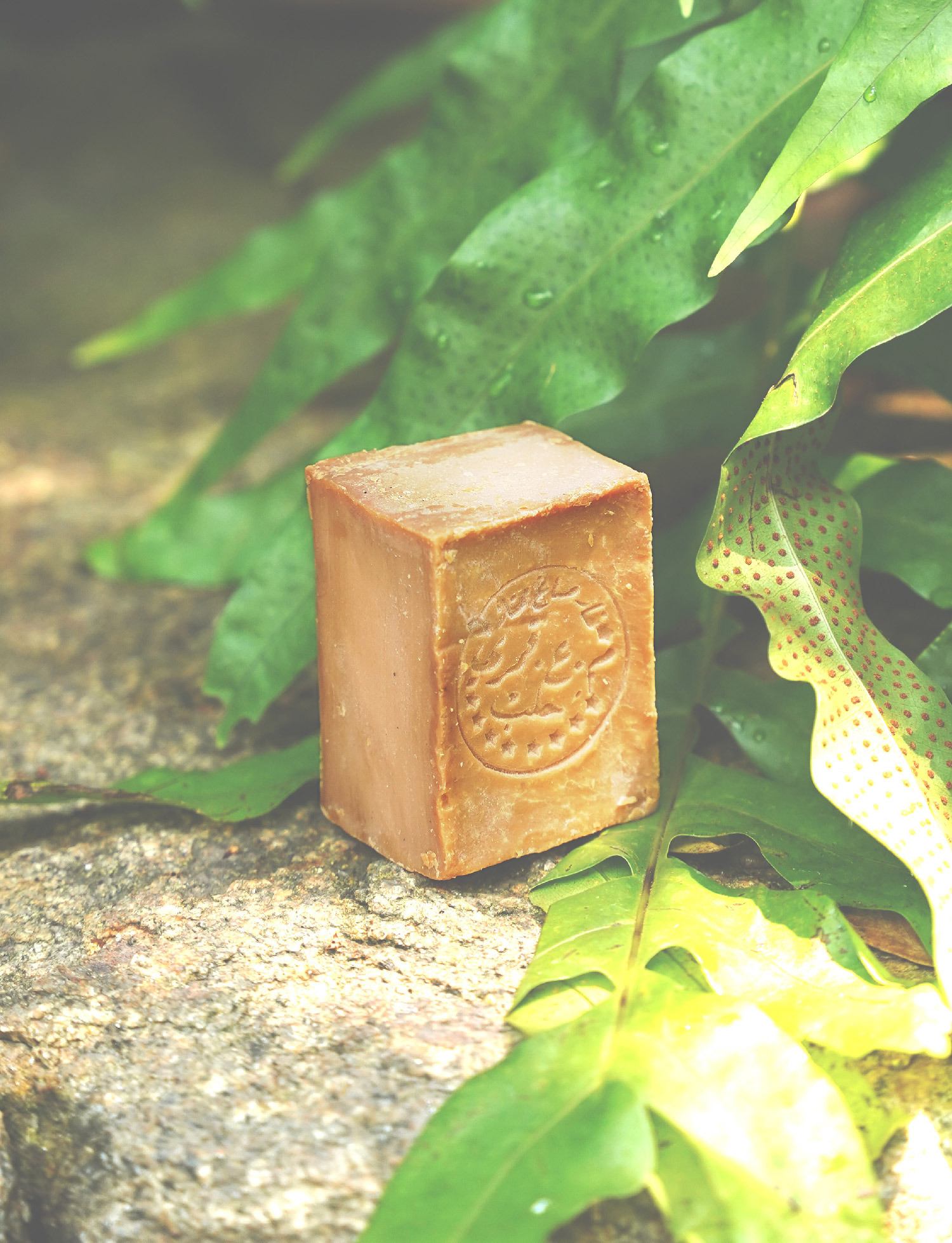 50% 阿勒坡古皂｜嚴重問題皮膚 (濕疹/體癬/皮疹/敏感/風癩)