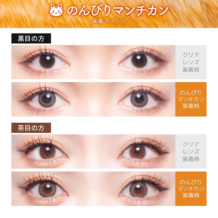Flurry by colors 1 day Color Contact Lens 每日即棄有色隱形眼鏡(1DAY)(10片裝) Nonbiri Munchkin
