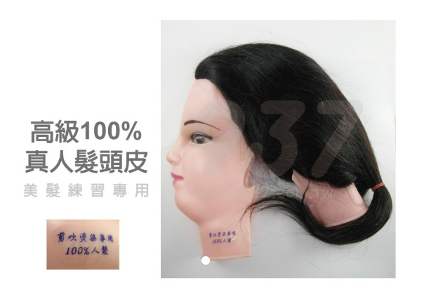 高級100%練習頭皮