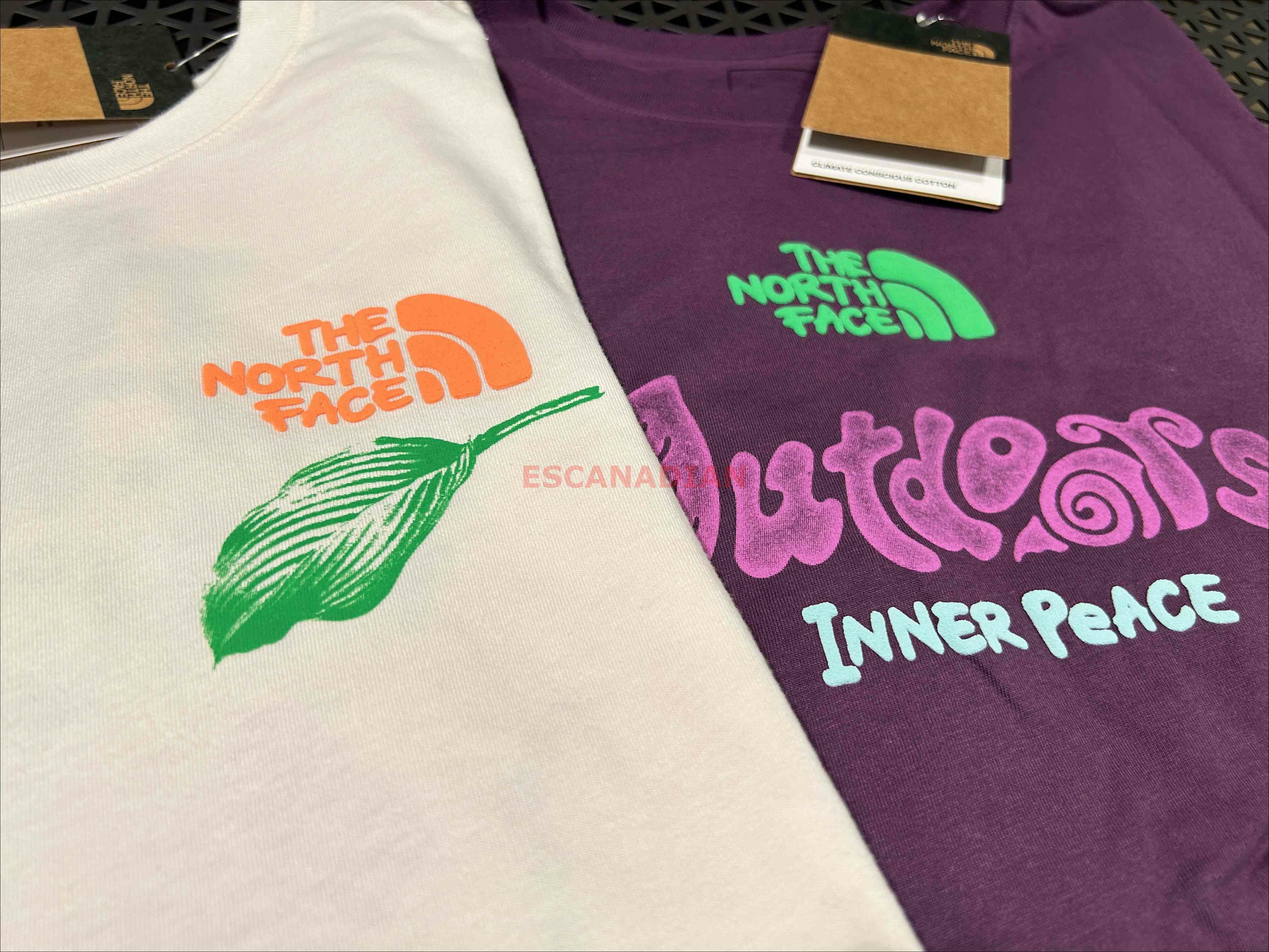 THE NORTH FACE 女大人 雙面戶外圖案 立體貼布 短TEE (2色)