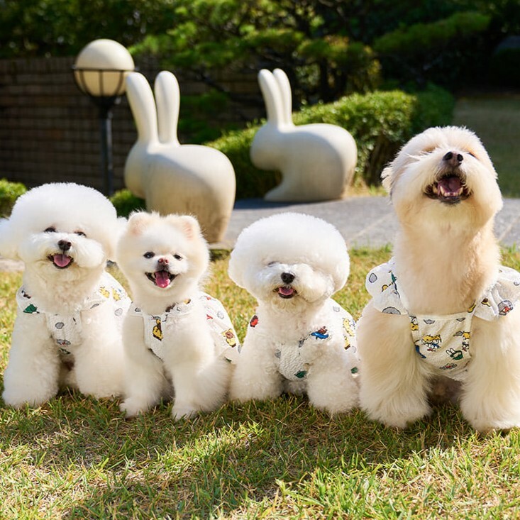 Noutti 夏日氣球上衣