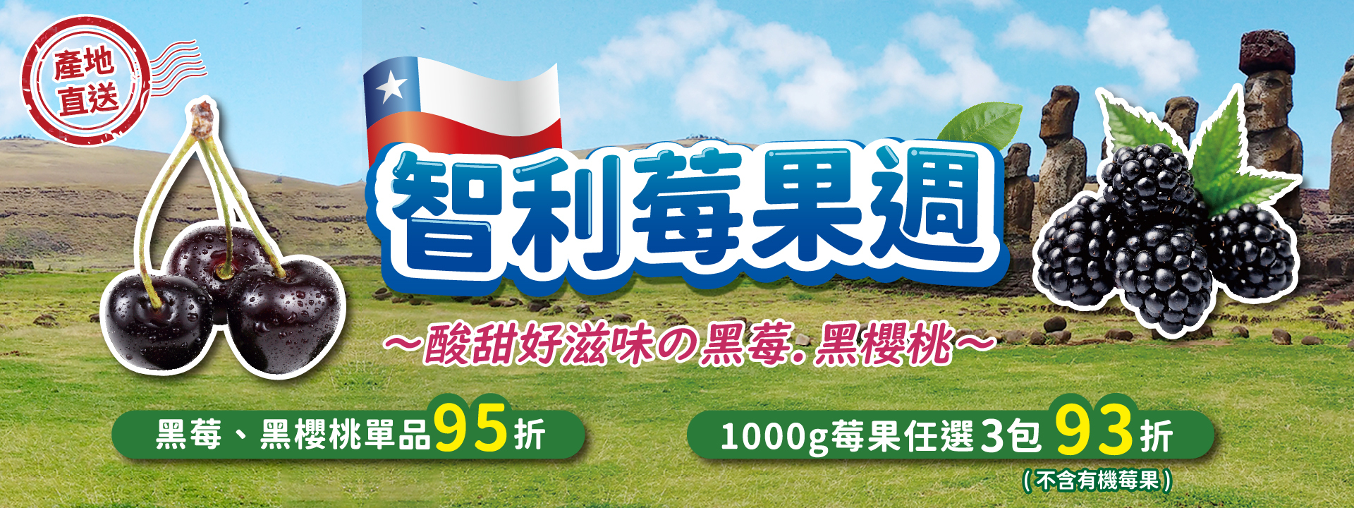 🍒智利莓果週，黑莓、黑櫻桃單品95折！∣ 天時莓果