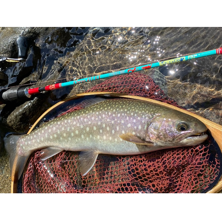 original.png?1719472383