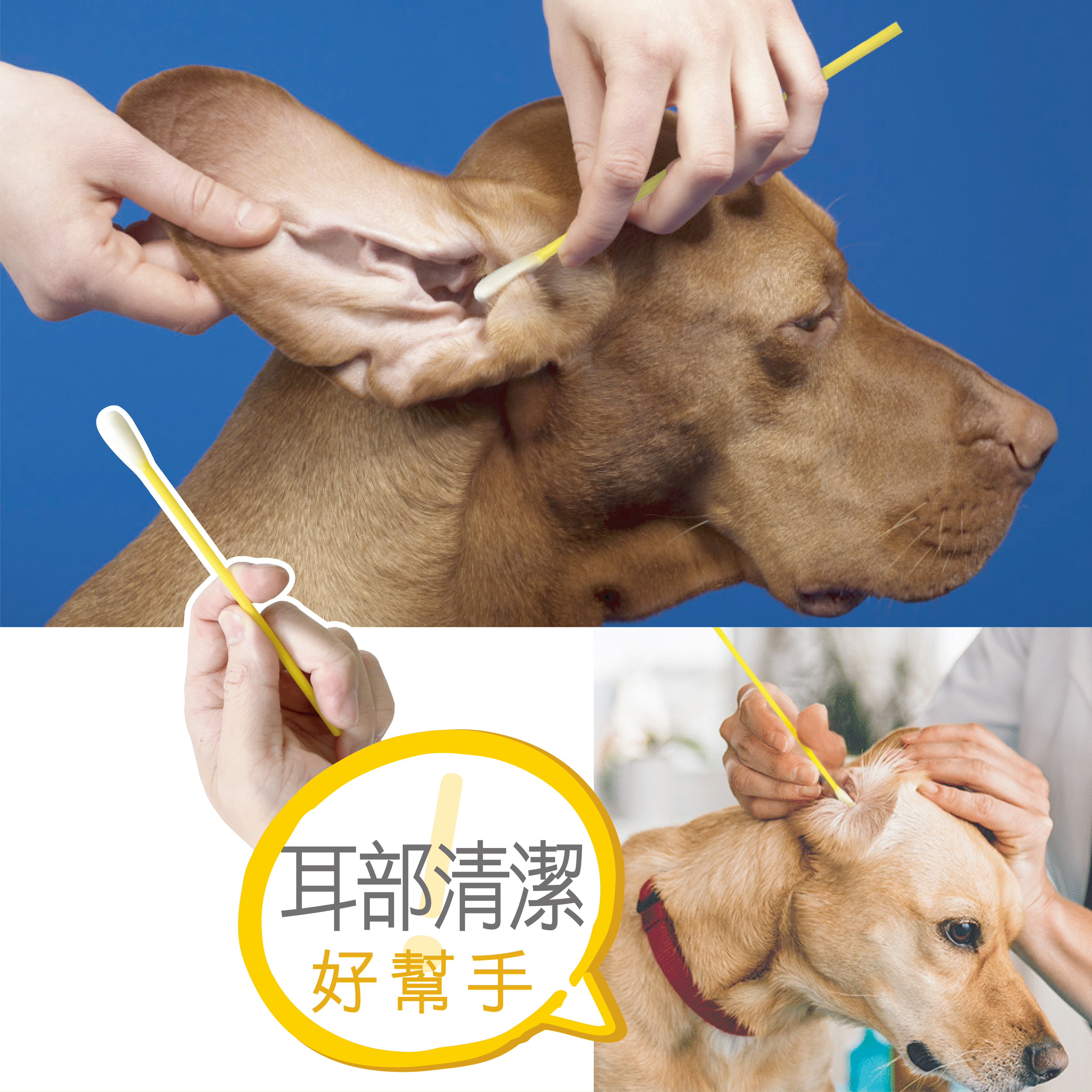 威旺潔耳棒，清潔寵物耳朵方便又簡單