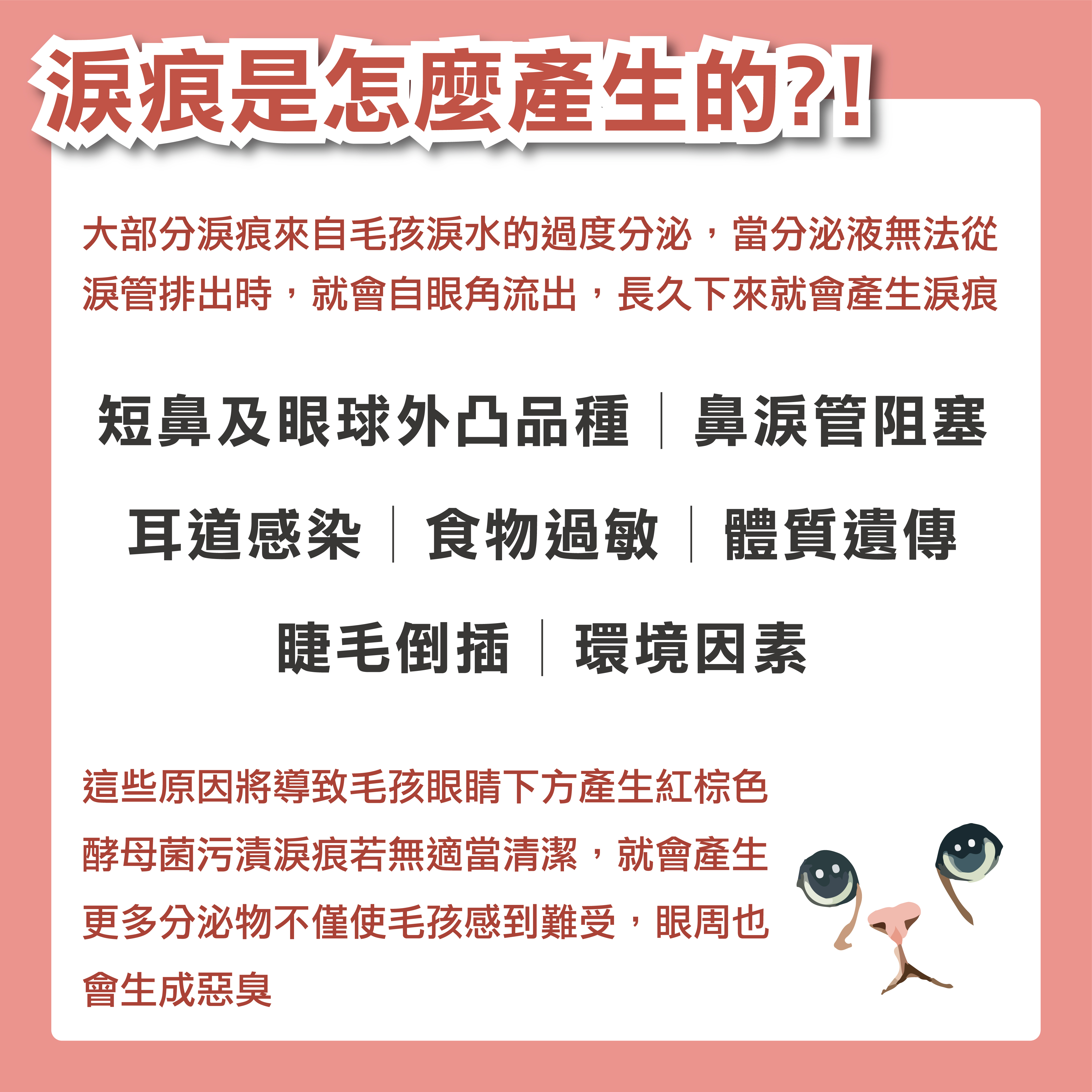 淚痕怎麼產生的?如果毛孩淚水過度分泌從眼角流出,長久下來就會產生淚痕