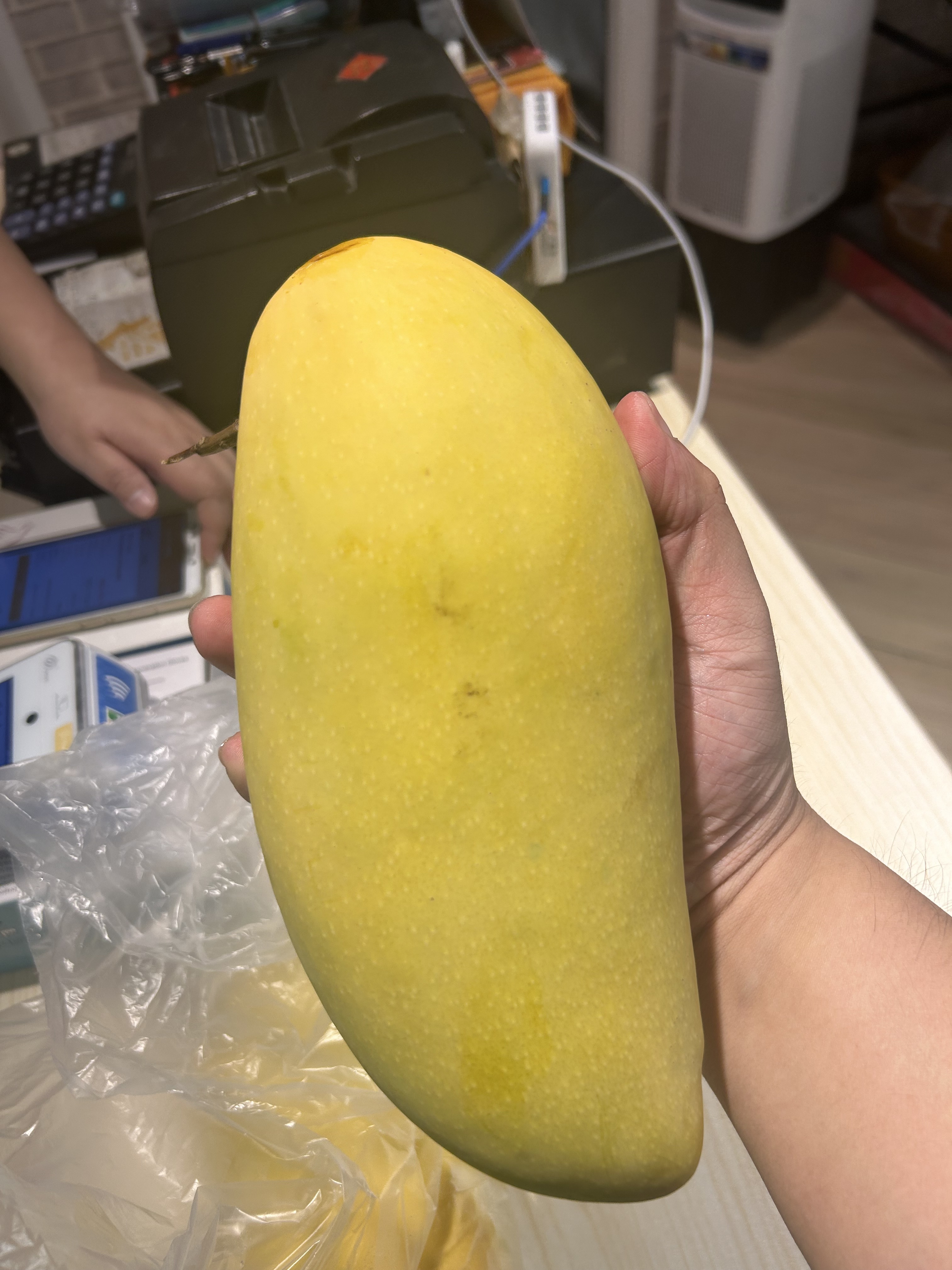 Bless-Fruit-台灣水仙芒