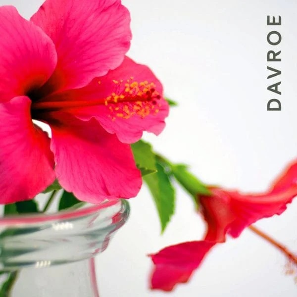 DAVROE 扶桑花修護護髮素