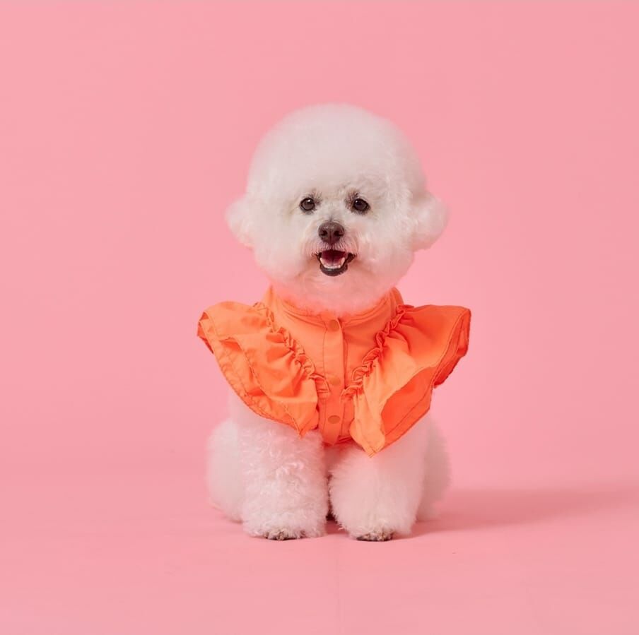 【Cotton Dog】 華麗優雅寵物背帶【橙色】